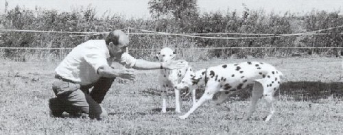 Le rappel : un jeu d'enfant Le rappel : un jeu d'enfant