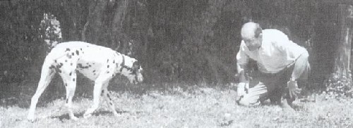 Le rappel : un jeu d'enfant Le rappel : un jeu d'enfant