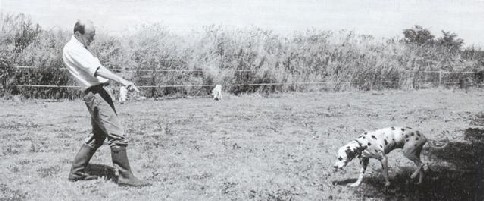 Le rappel : un jeu d'enfant Le rappel : un jeu d'enfant