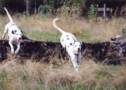 Le rappel : un jeu d'enfant Le rappel : un jeu d'enfant